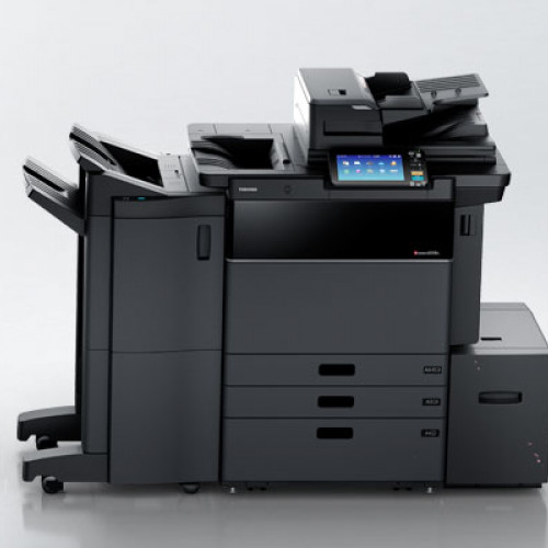 Banner News Launch Shasta Shastina